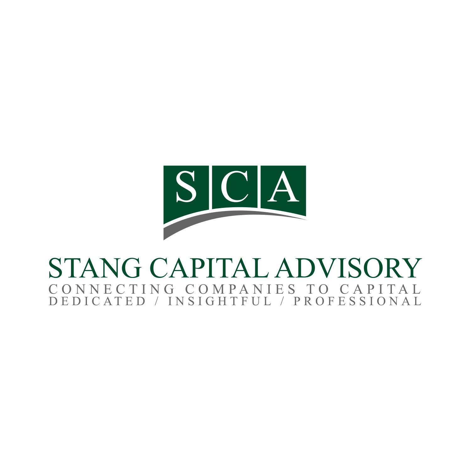 Logo Design by Sintegra for Stang Capital Advisory LLC | Design #9316880