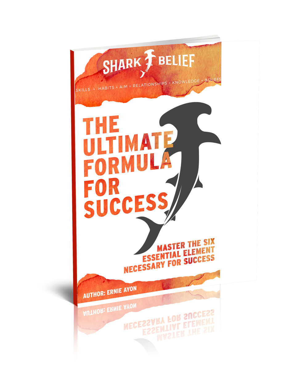 Book Cover Design by AbdulRafay for this project | Design #9293542