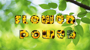 Logo Design by -Unactive-