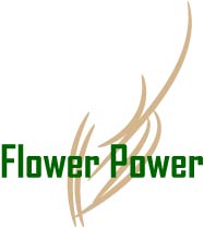 Logo Design by Sen for Andrew McIntyre Consultancy | Design #2041030