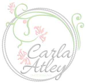 Logo Design by D-Anno