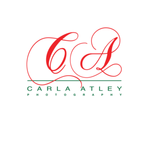 Logo Design by lphopkins for this project | Design: #9446875