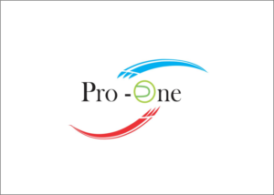 Logo Design by Wise designs