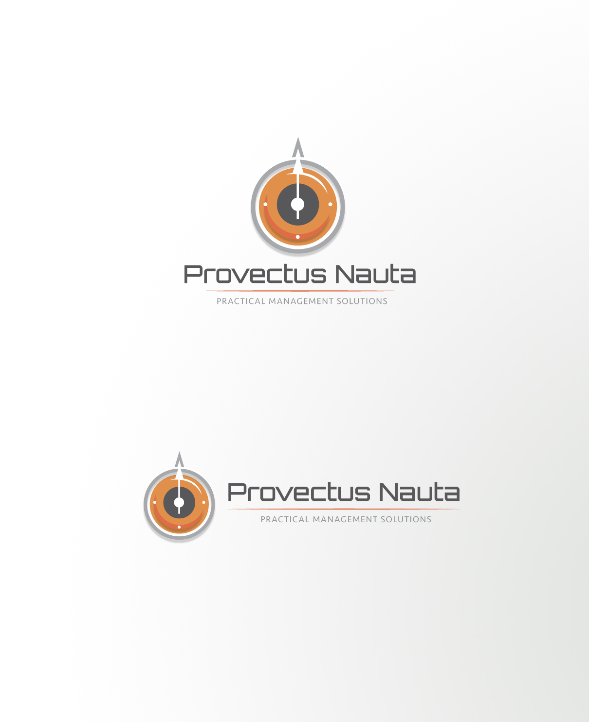 Logo Design by CanDoDesign for Provectus Nauta | Design #9507742