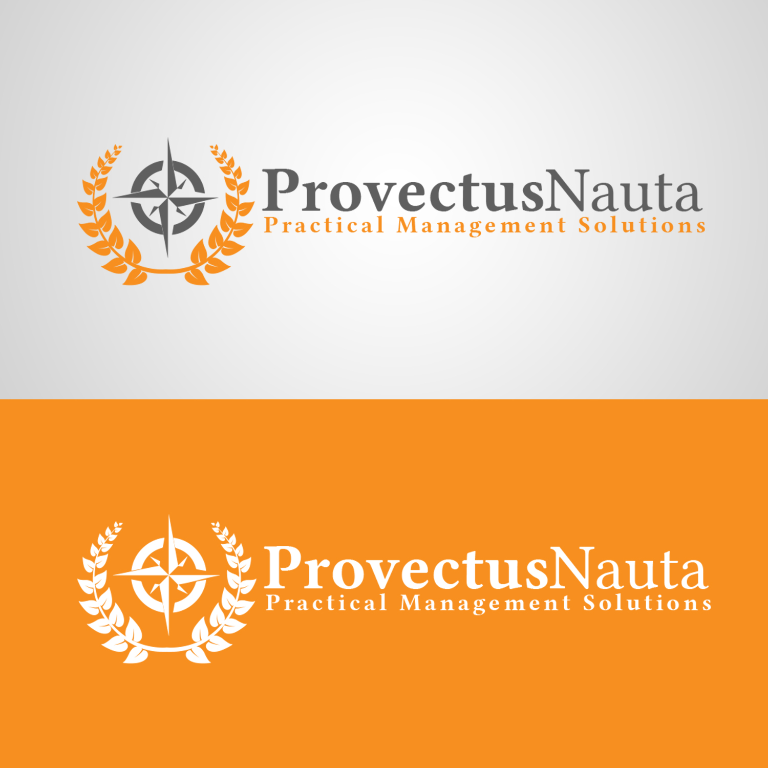 Logo Design by vp.salim for Provectus Nauta | Design #9528566