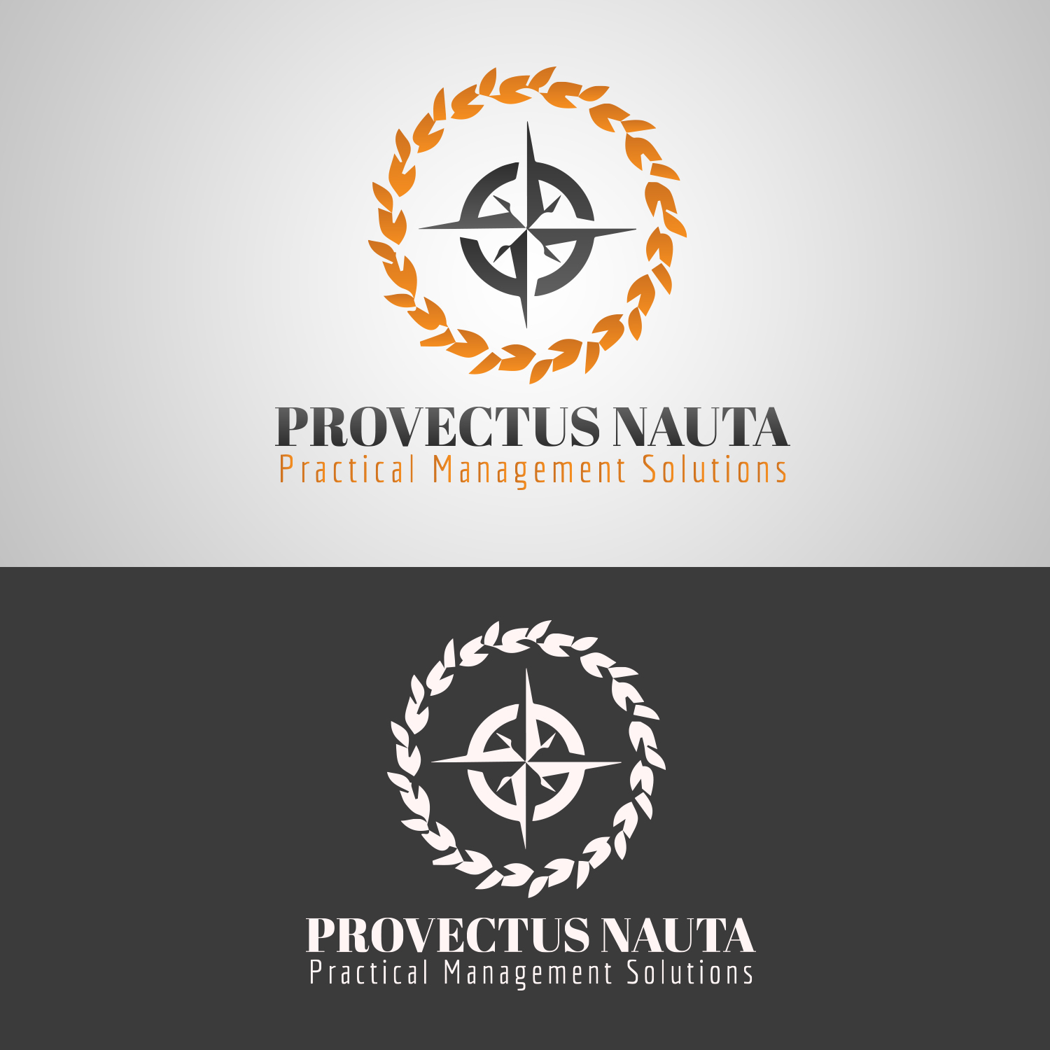 Logo Design by vp.salim for Provectus Nauta | Design #9546541