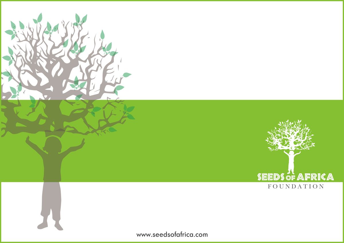 Brochure Design by Timely Art & Design for this project | Design #2114078