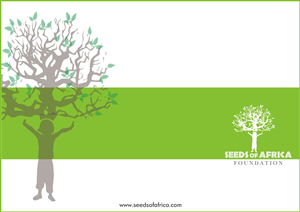 Brochure Design by Timely Art & Design for this project | Design: #2114078