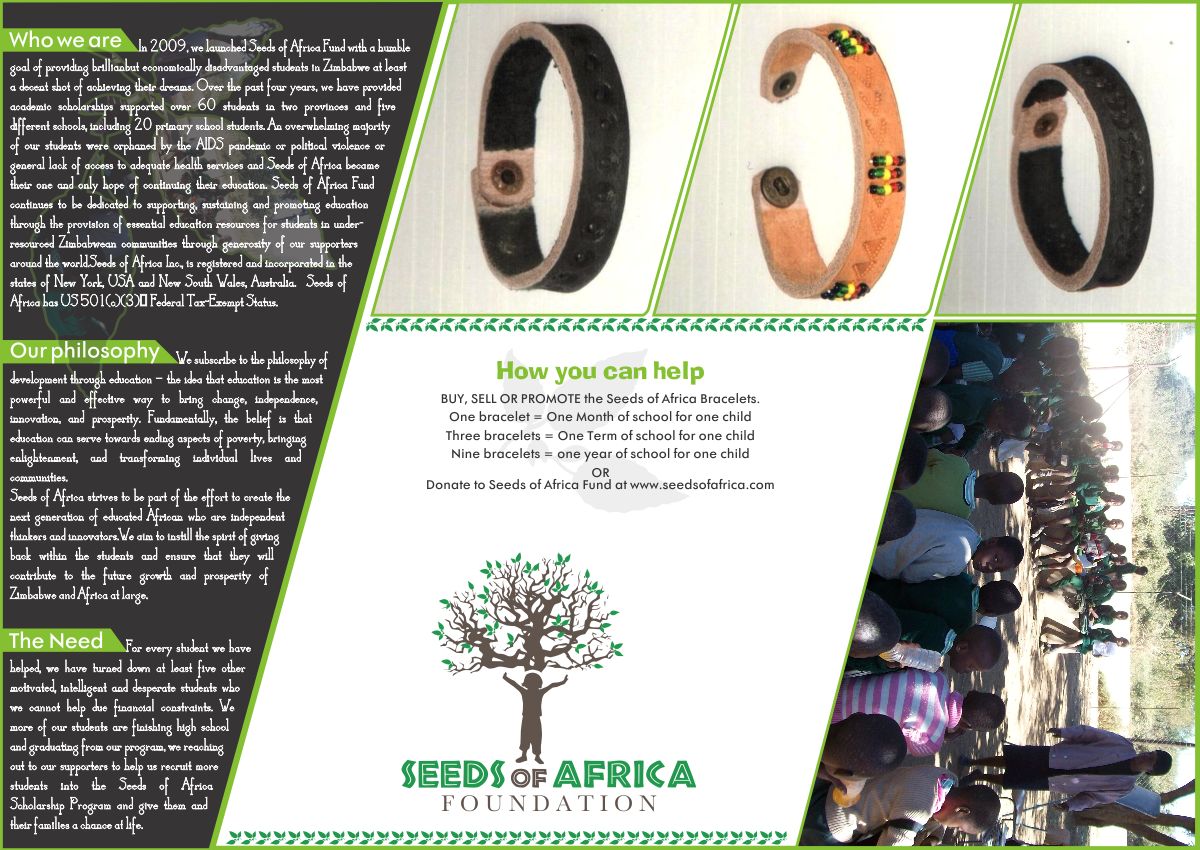 Brochure Design by Timely Art & Design for this project | Design #2114084