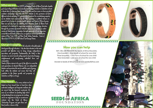 Brochure Design by Timely Art & Design