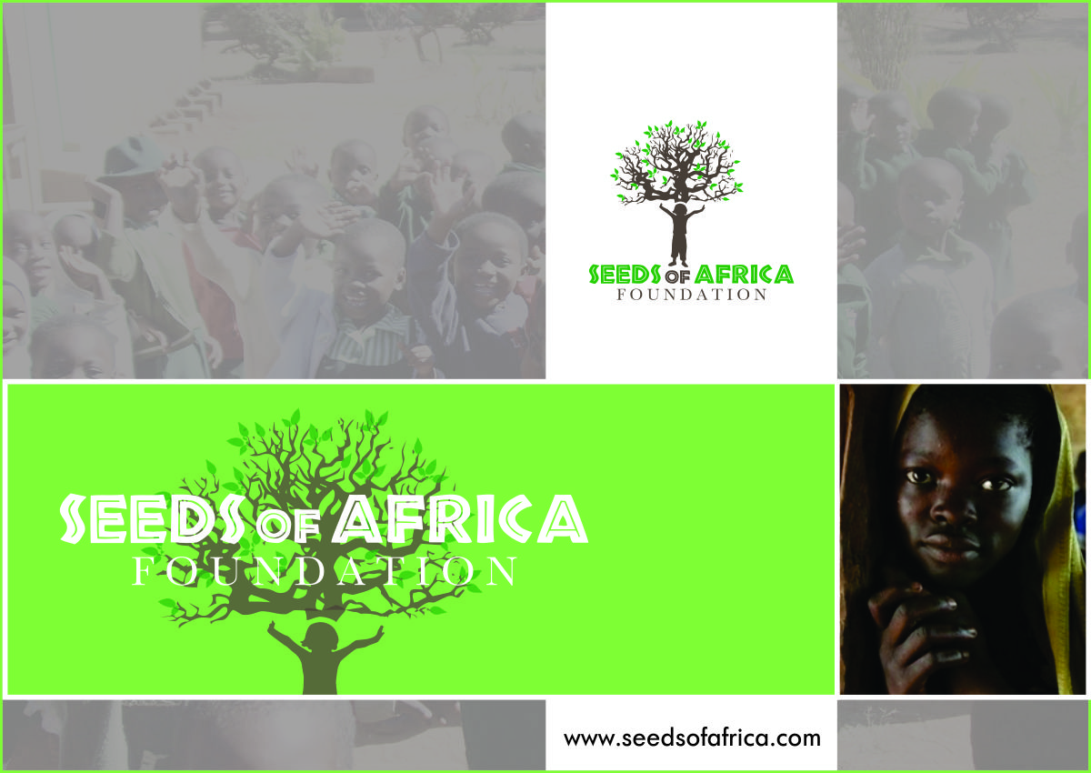 Brochure Design by Timely Art & Design for this project | Design #2124189