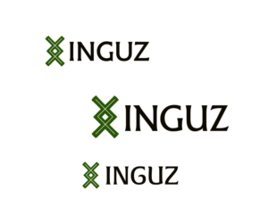 Logo Design by Davaus for Inguz srl | Design: #9345690
