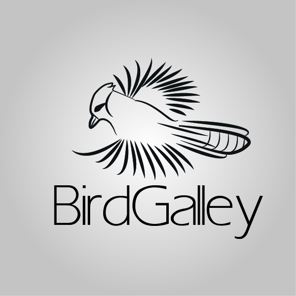Logo Design by Buly for Magnastar Group | Design #2053136