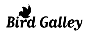Logo-Design von Regina_T für Magnastar Group | Design: #2054995