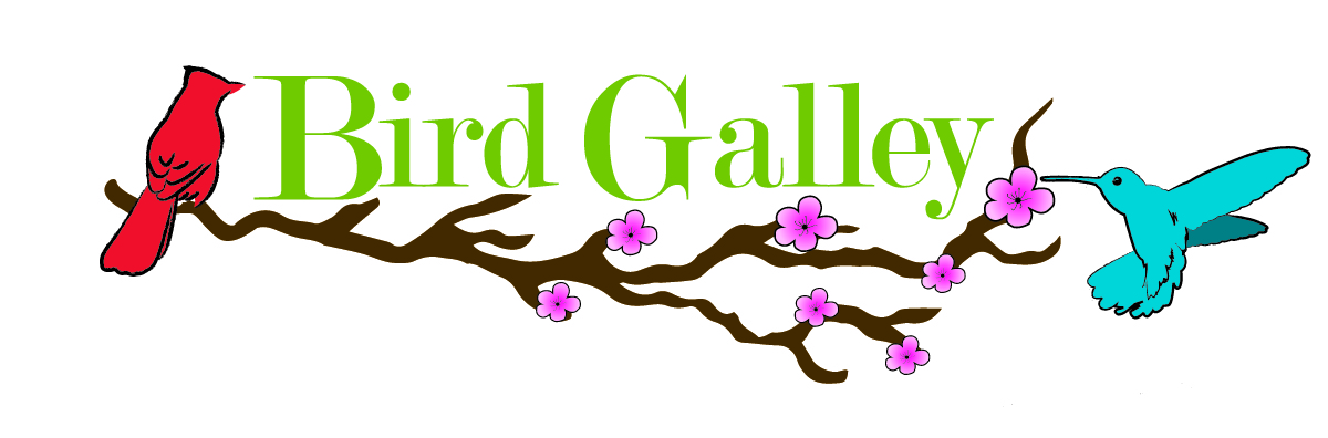 Logo Design by omarcolladon for Magnastar Group | Design #2274838