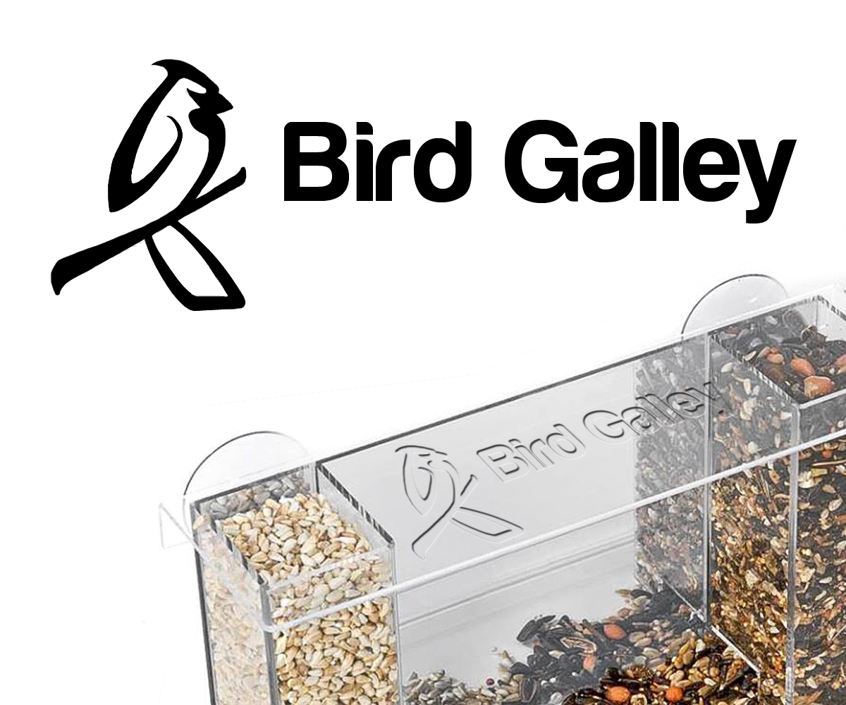 Logo Design by Lello for Magnastar Group | Design #2077892