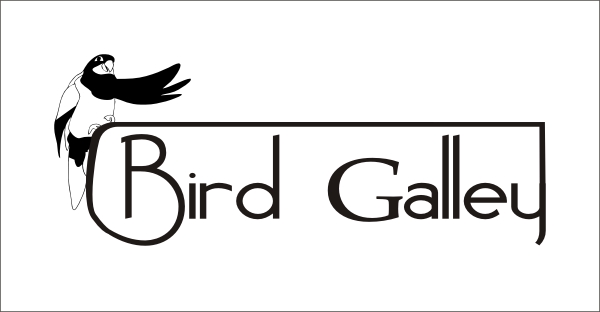 Logo Design by KENKEN8 for Magnastar Group | Design #2182462