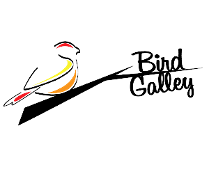 Logo-Design von Sifa Blackmon Designs für Magnastar Group | Design: #2043230