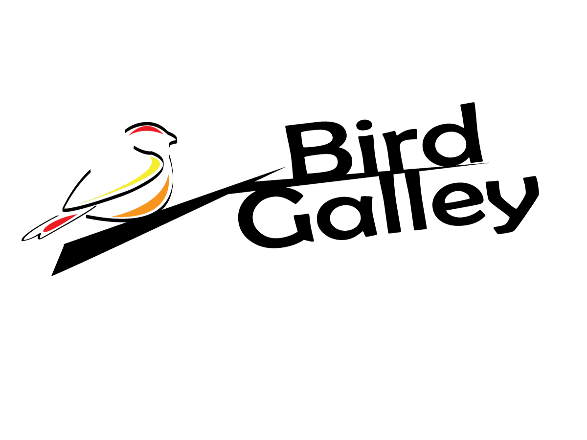 Logo Design by Sifa Blackmon Designs for Magnastar Group | Design #2053152