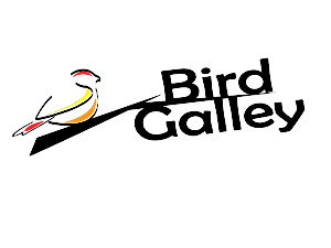 Logo-Design von Sifa Blackmon Designs für Magnastar Group | Design: #2053152
