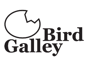 Logo-Design von Walter Oscar Rothe für Magnastar Group | Design: #2043195