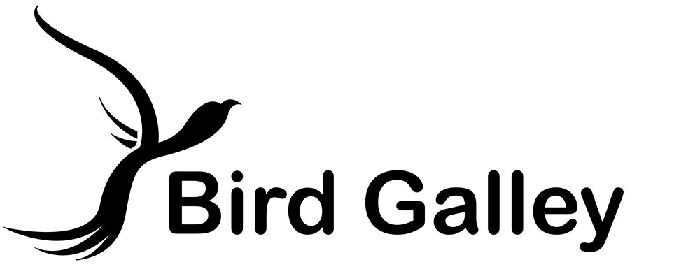 Diseño de Logo por Riley John Savage para Magnastar Group | Diseño #2043418