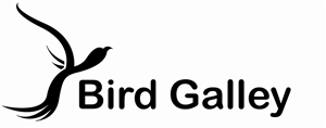 Logo-Design von Riley John Savage für Magnastar Group | Design: #2043418