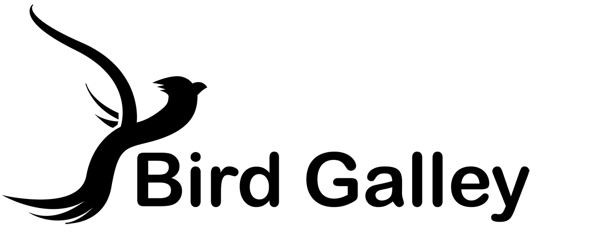 Logo Design by Riley John Savage for Magnastar Group | Design #2056627