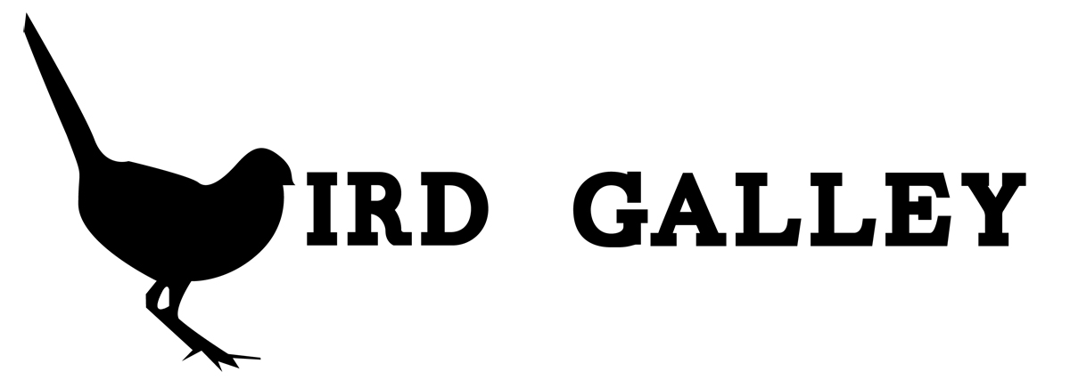 Logo Design by LoudDesign17 for Magnastar Group | Design #2074570