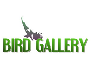 Logo Design by DannyDonovan