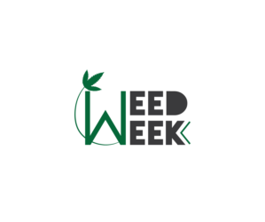 Logo Design by siddhuero