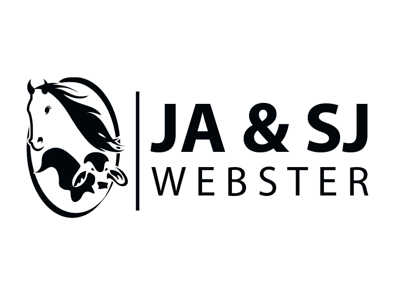 Logo Design by creative.bugs for this project | Design #9323801