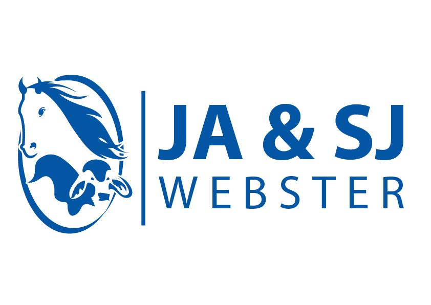 Diseño de Logo por creative.bugs para este proyecto | Diseño #9323802