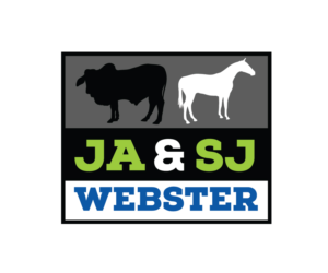 Logo Design by Transformed Design Inc. for this project | Design #9315086