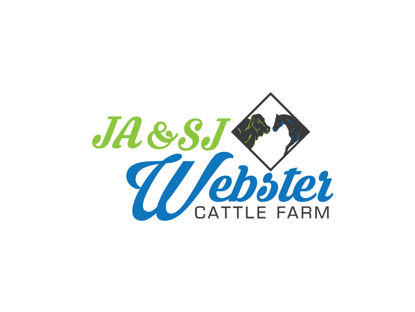 Diseño de Logo por jose_luiz para este proyecto | Diseño #9321770