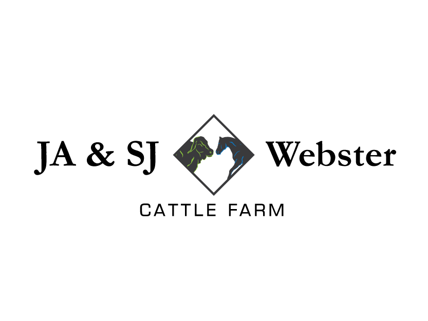 Diseño de Logo por jose_luiz para este proyecto | Diseño #9321775