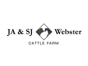 Logo Design by jose_luiz for this project | Design: #9321775