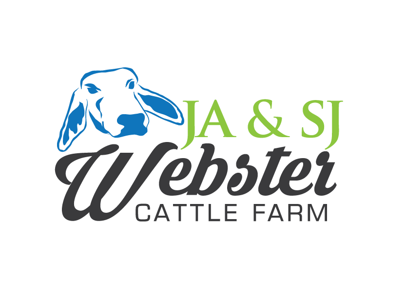 Diseño de Logo por jose_luiz para este proyecto | Diseño #9325059