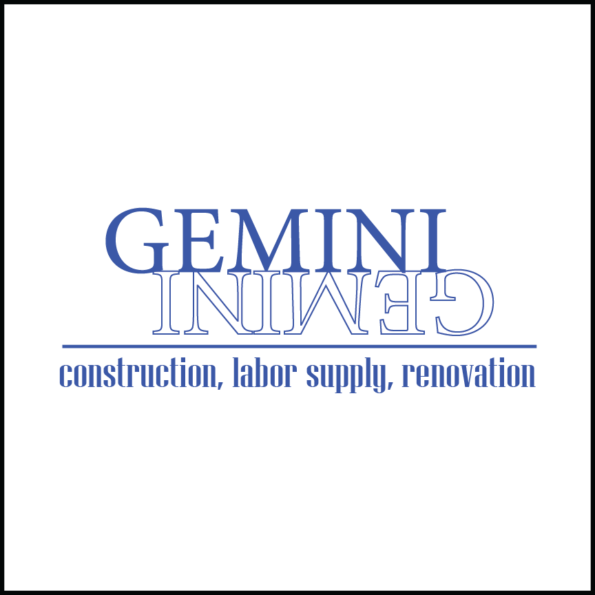 Design de Logo par SPinturaArt pour Gemini | Design #9307171