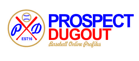 Logo Design by jedesigns  for BEACH DAWGS Baseball | Design #9316028