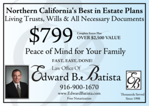 Postcard Design by Selda