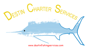 Logo Design by shri17ya 2