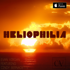 PLEASE READ - DESIGN for Music Cover iTunes - DJ and Female Singer   | CD-Cover-Design von Cog Creation