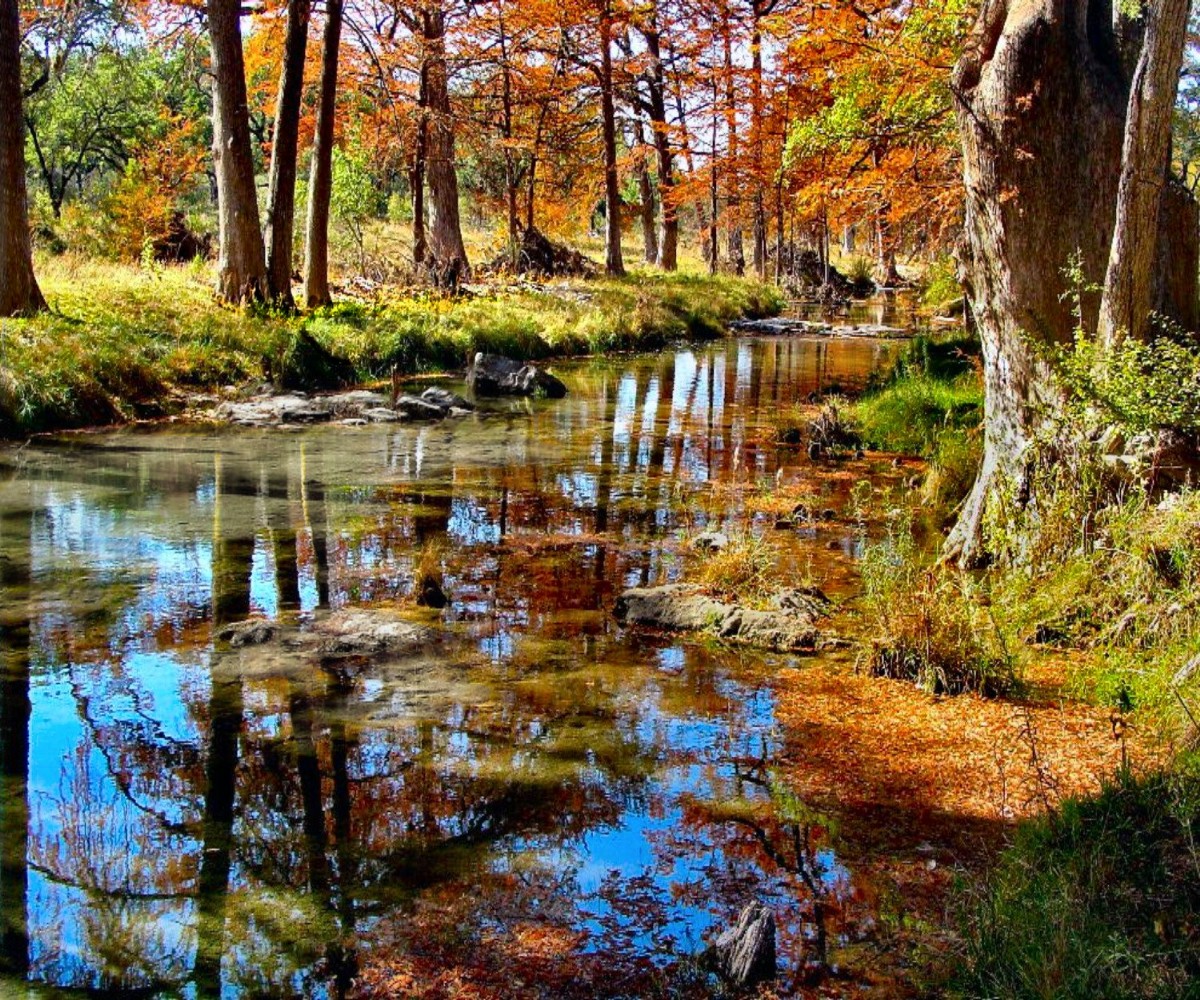 Photography by TerryLea for DesignCrowd (Community Contests) | Design #9335051