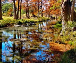 Photography by TerryLea