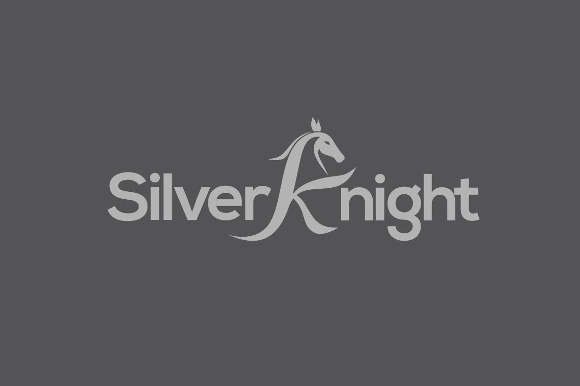 Logo Design by sanalkumar for Silver Knight | Design #9345623