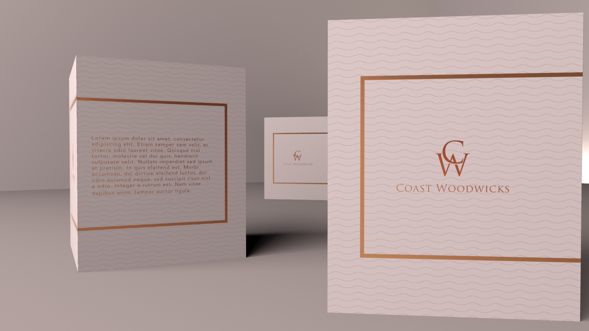 Diseño de Empaque por byjoao para este proyecto | Diseño #9386769