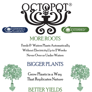 Packaging Design by Rotten Egg Productions