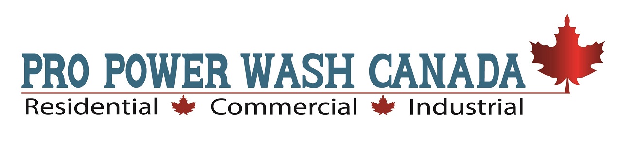 Diseño de Logo por rmak para Pro Power Wash Canada | Diseño #2107963