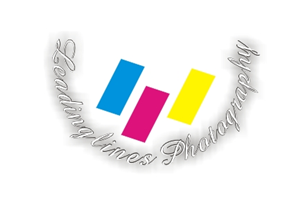 Logo Design by momodu ojemen rapheal gba